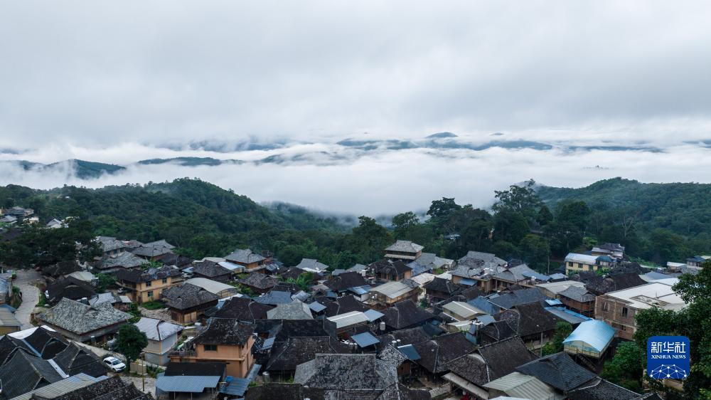 澳盘即时